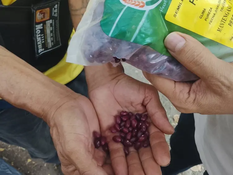 Semillas para la huerta comunitaria