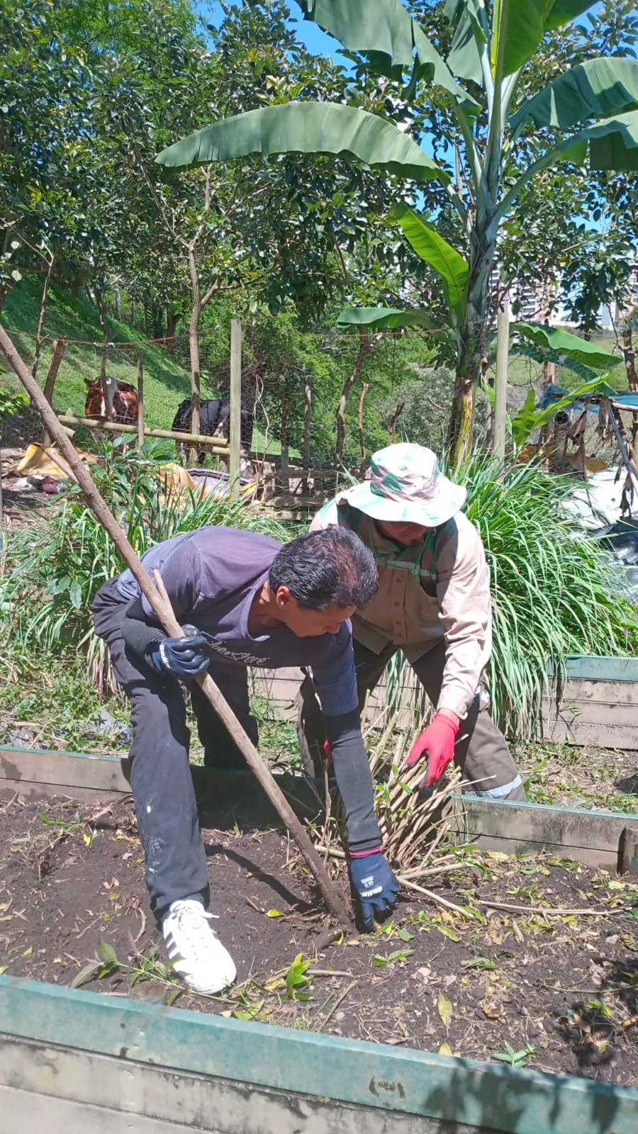 Dos personas preparan la tierra de una huerta en una jornada de educación ambiental